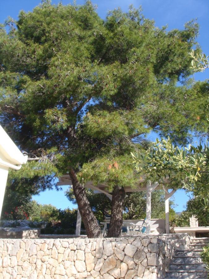 Beach House Blue Lagoon Okrug Gornji Exterior photo